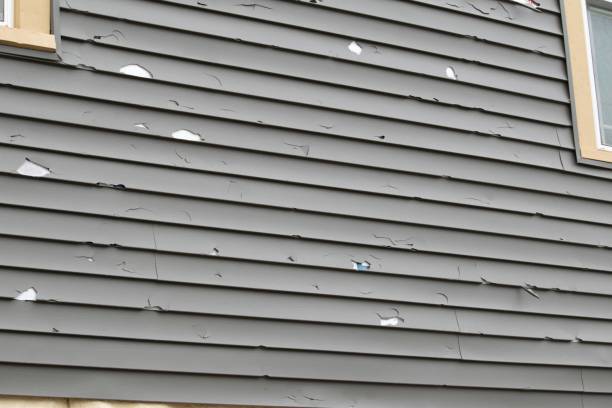 Best Basement Cleanout  in Westfield, WI